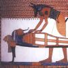 Во что верили и чему поклонялись древние египтяне Египетский бог Сет