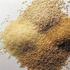 Koje vrste žitarica postoje?  Šta su žitarice?  Žitarice: vrste, karakteristike uzgoja, korisna svojstva.  Porodica žitarica - opis