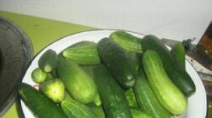 What to do with overgrown cucumbers?